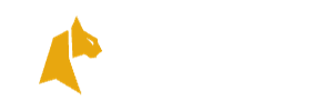 Felixspin Casino logo